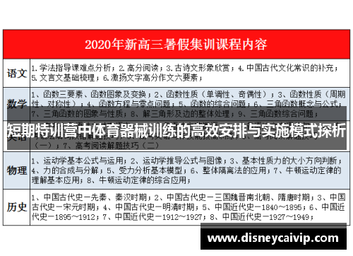 短期特训营中体育器械训练的高效安排与实施模式探析